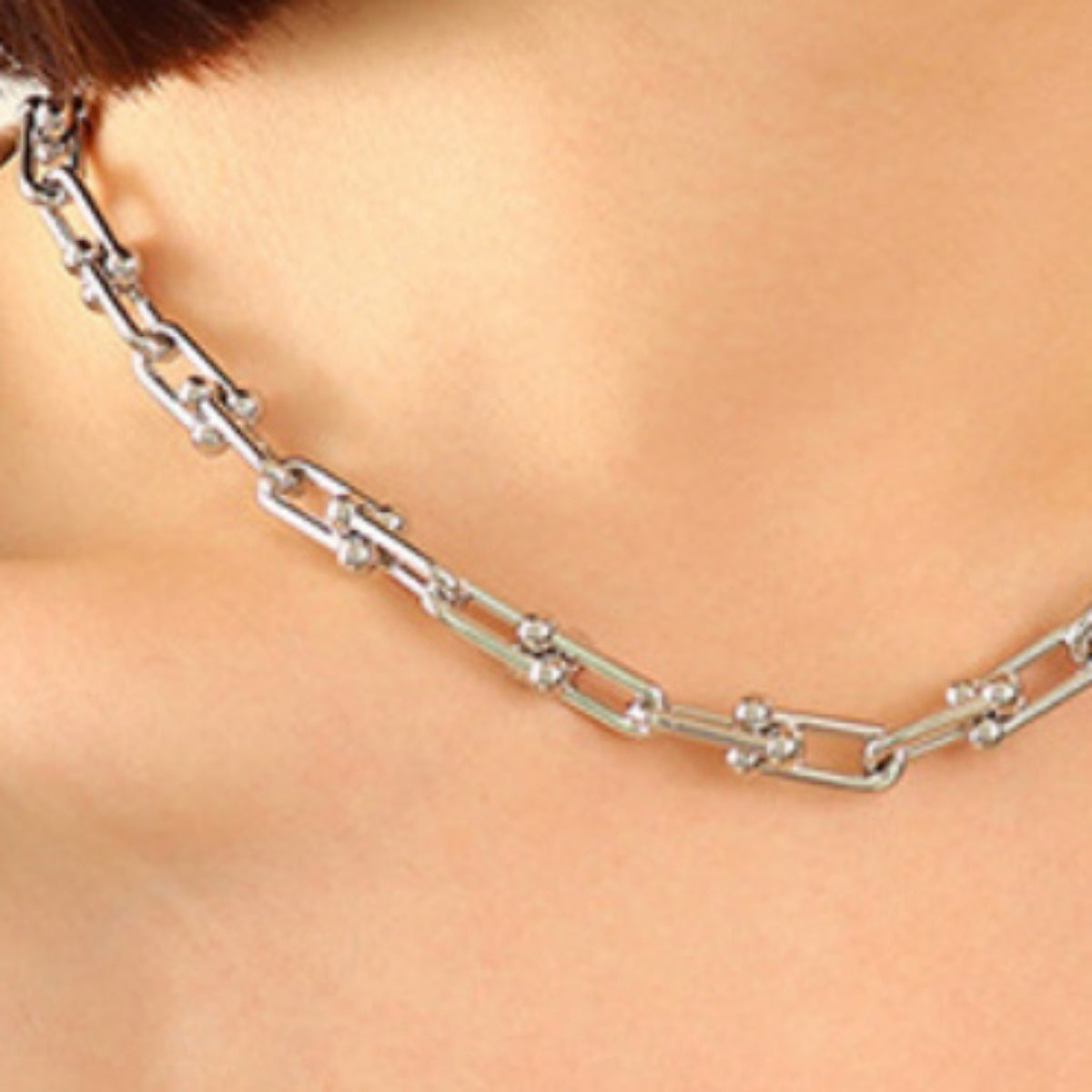 Chunky Chain Titanium Steel Necklace - -