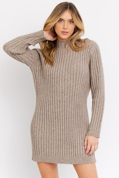 Turtle Neck Sweater Dress