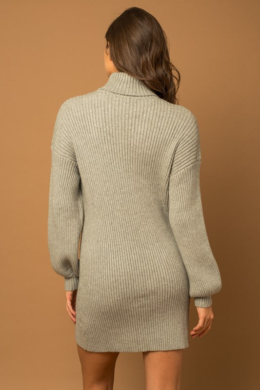 Turtle Neck Balloon Sleeve Sweater Dress